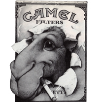 Camel mintj pl